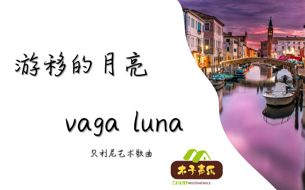 如何选择适合篮球康复训练的器材_1